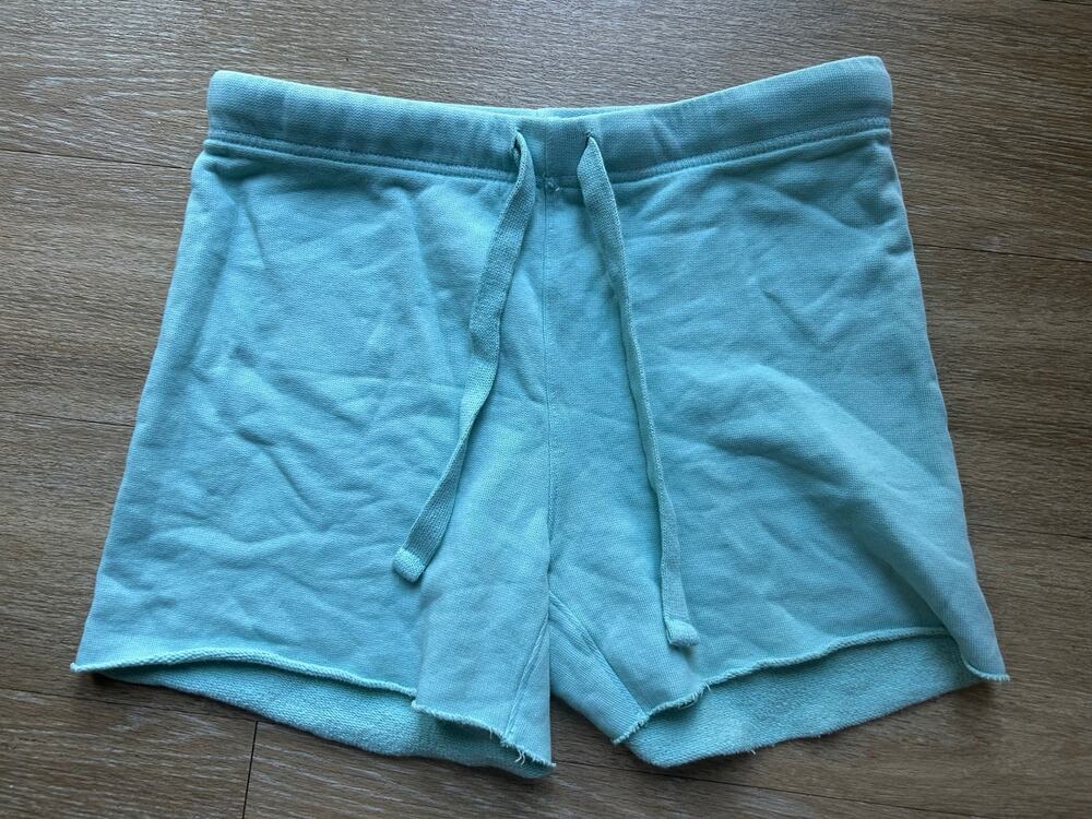 Frank & Eileen Pearl Favorite Sweatshorts Seafoam Mint Blue Triple Fleece Beachy
